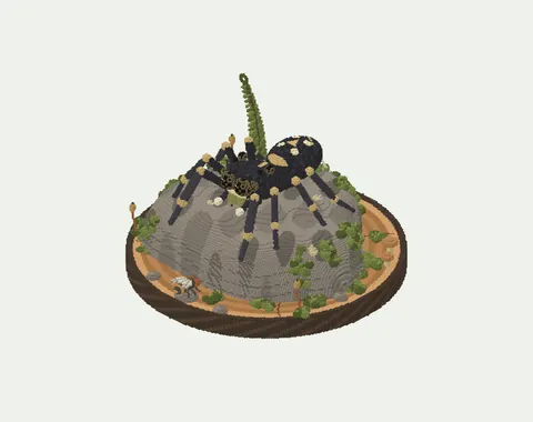 跳蛛苔石微台