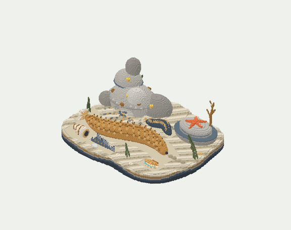 海参海床台